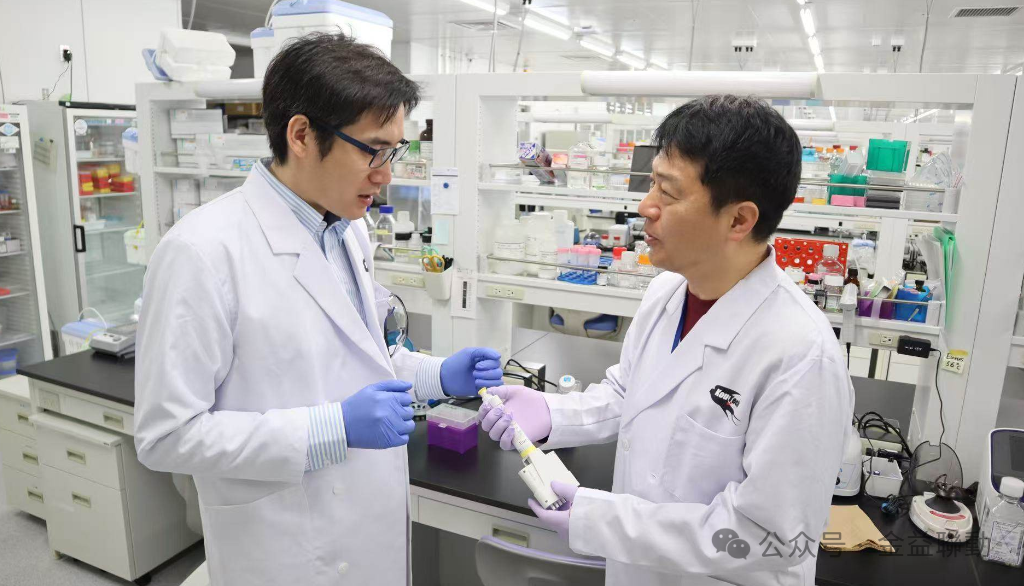 Continuous improvement leads to excellence.