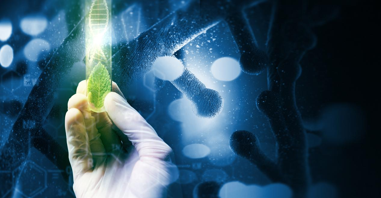 JinYi Internet: From Precise Breakthroughs to an Inclusive Future